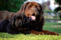 /album/fotogalerij1/mariel-25-jpg/